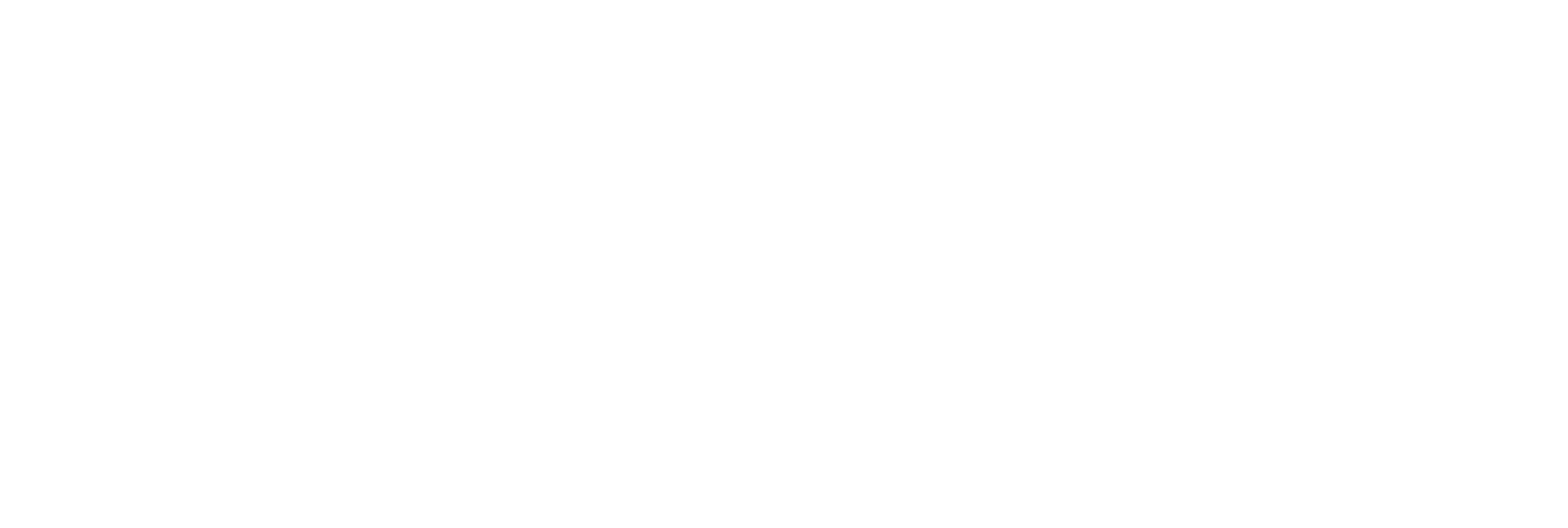 hibin_logo_white